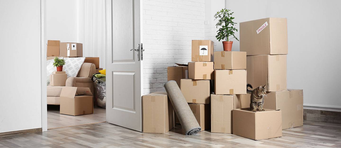 move in/move out services